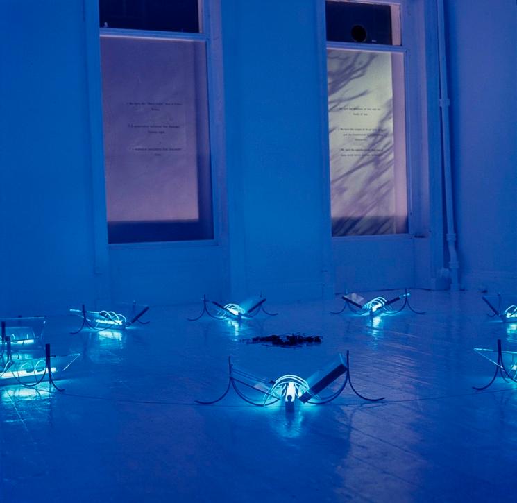 Hamad Butt, 'Transmission' (1990) Glass, steel, ultraviolet lights and electrical cables. Overall display dimensions variable. Tate. Presented by Jamal Butt 2019