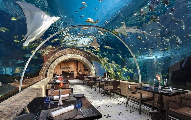 Restaurant Koral à Kempinski Bali dans un aquarium avec raie manta et poissons tropicaux