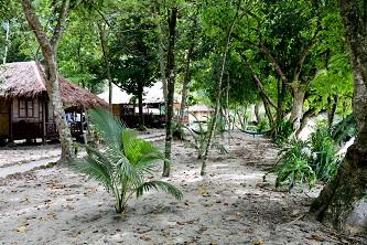 Rimba/ecolodge/sumatra/indonésie
