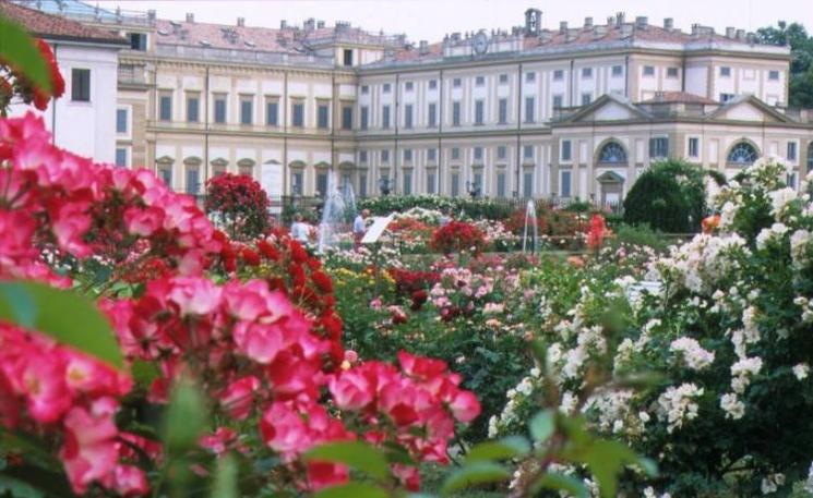 roseraie de la villa reale