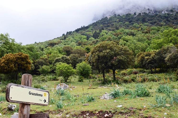 Parque Natural de la Sierra de Grazalema