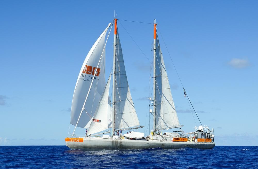 Sailing_Spi©Maeva_Bardy_Fondation_Tara_Ocean