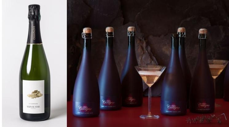 Bouteilles de vin Sainte Joie et Castigno