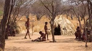 Des bushmen dans le bush et leur habitation traditionelle