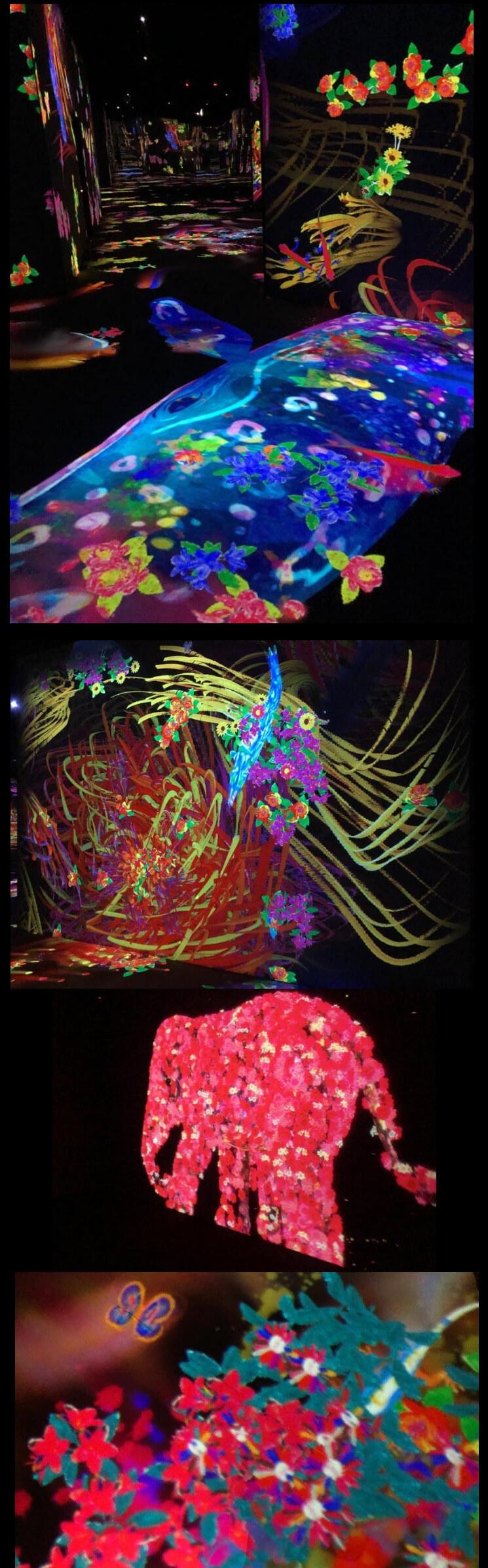 Teamlab exposition interactive enfants Jakarta