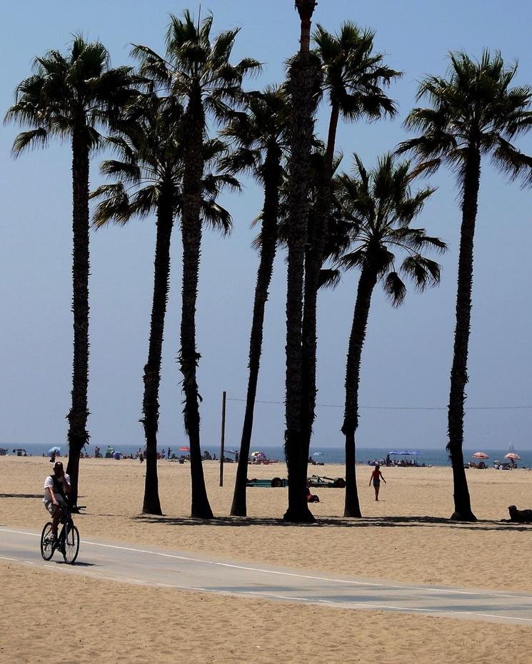 La plage de Santa Monica © DR