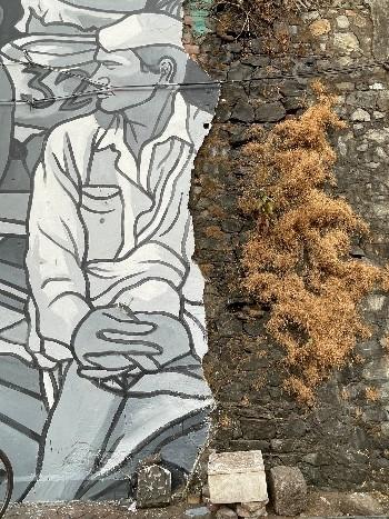 Un pêcheur peint sur un mur aux Sassoon Docks