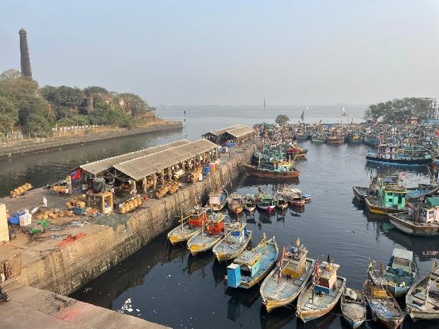 Le port de pêcheurs aux Sassoon Docks