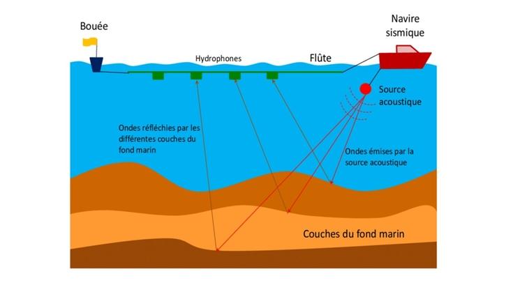 Schéma étude sismique 3D en mer