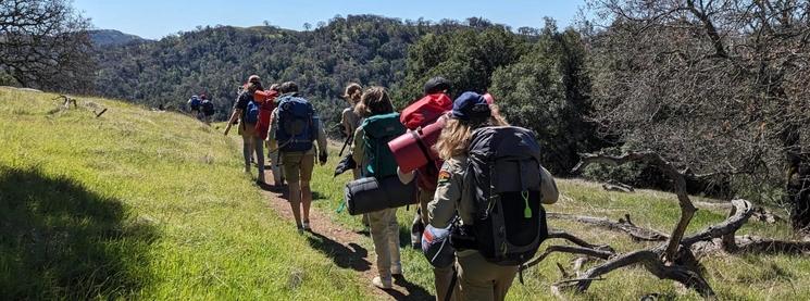 Des scout du groupe Paul Coze marche dans le nature