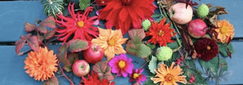 agenda du week-end stockholm