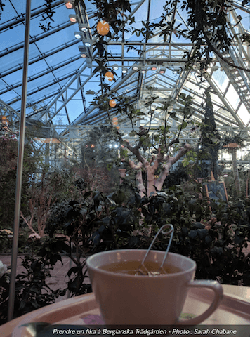 Saint Valentin Stockholm