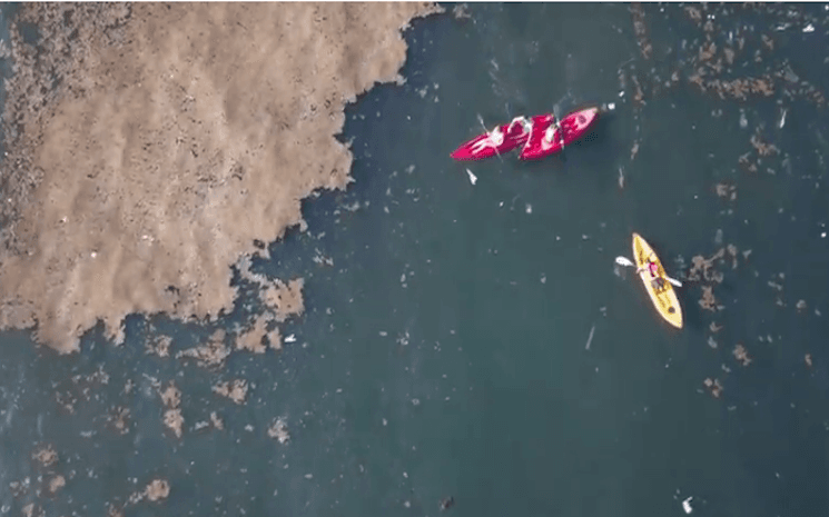 Marée rouge Hong Kong