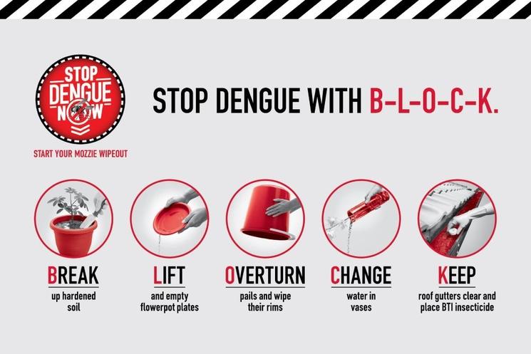 schema anti dengue