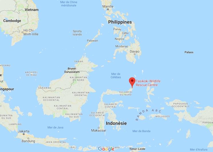 Sulawesi carte biodiversité LFI voyage scolaire