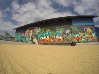 Allcaps/art/urbain/graffitti/bali/galerie/indonésie