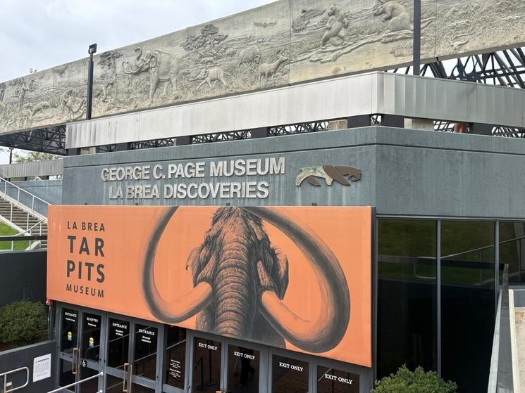 La Brea Tar Pits au cœur de Los Angeles © Emmanuelle Franks