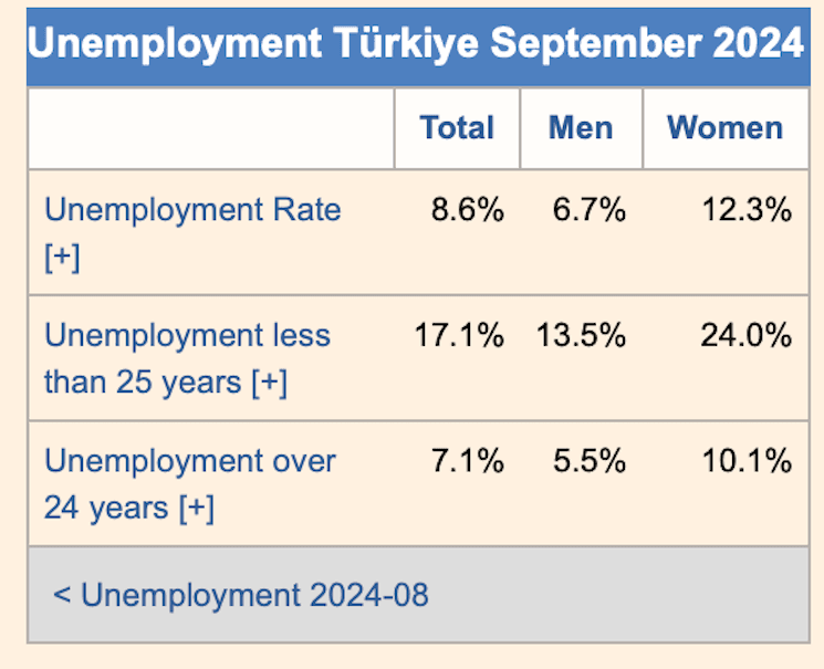 Taux de chômage Türkiye 2024