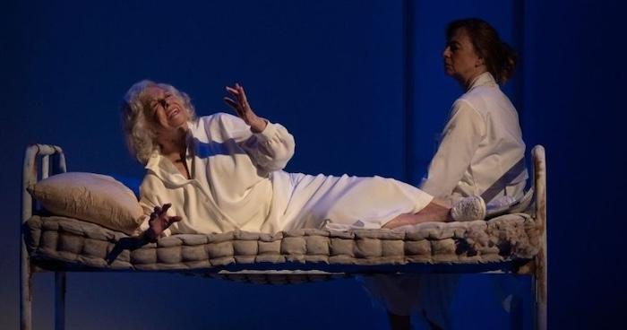 piece de theatre au teatro reina victoria madrid