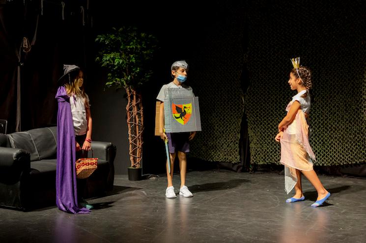 theatre alliance francaise