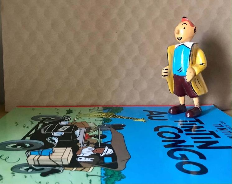 Une copie du personnage sur l'album Tintin au Congo