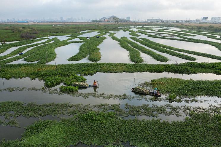 Tompoun fait partie d'une zone de marécages au sud de la capitale cambodgiennepg
