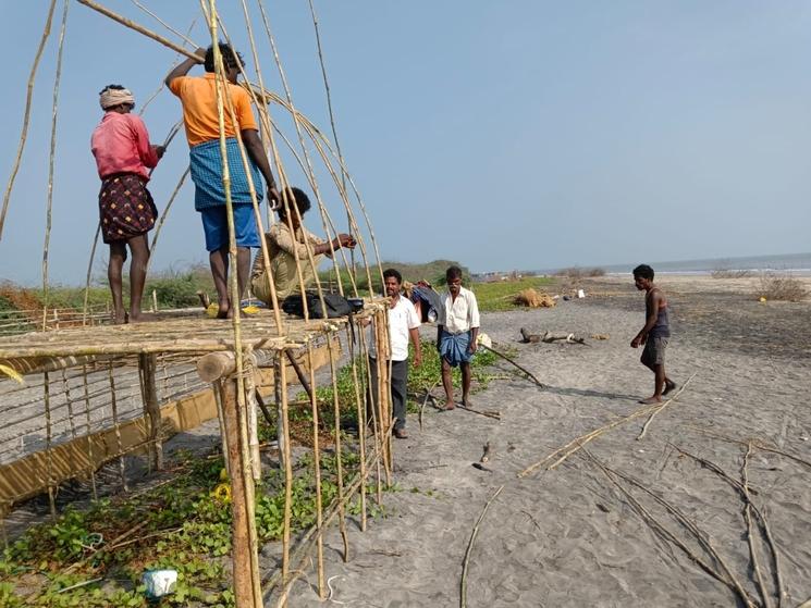 Ecloserie de tortues mise en place par la Tree Foundation. Photo - Tree Foundation