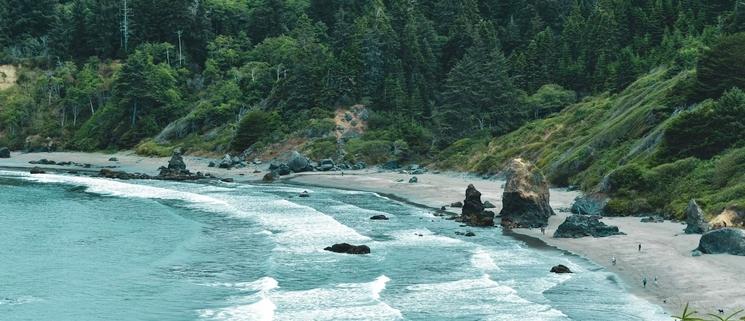 Trinidad State Beach California