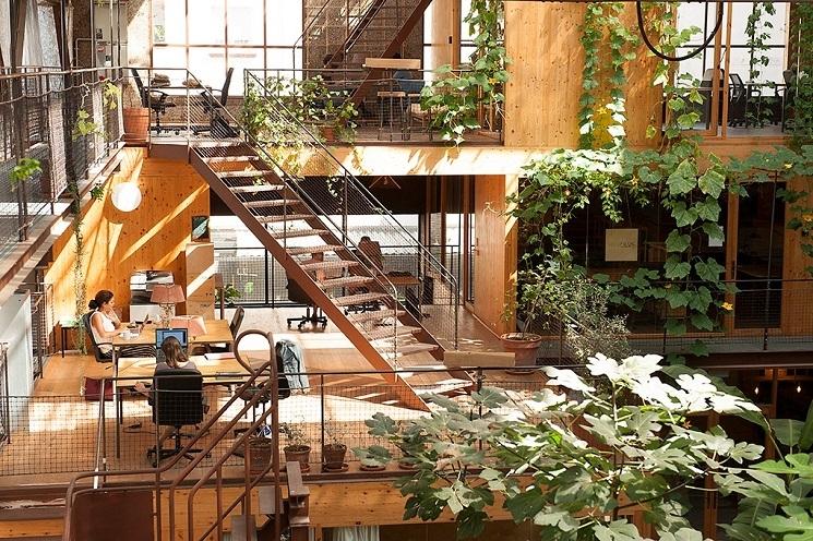 Un coworking au cœur du 22@, centré sur la communauté, la biodiversité et la durabilité