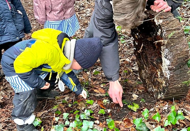 Un enfant et l'intervenant explorent la forêt lors de la forest school organisée les lundis par l'Ecole des Petits