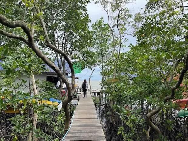 Un village de pêcheurs à Kampot se réinvente grâce à l’écotourisme