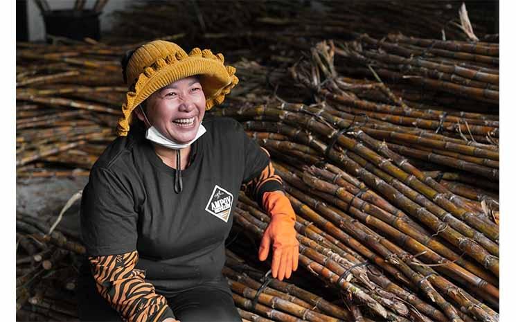 Une Odyssée au epopee de la Distillerie de Rhum Cambodgienne