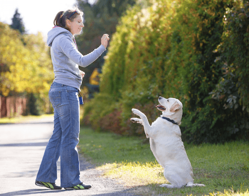 Une flexibilité sans précédent