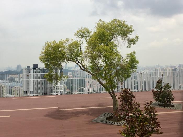 jardin du 50ème étage