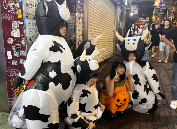 Vaches, Halloween 2025