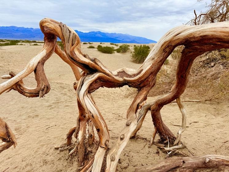 Vallée de mort Mesquite Flat Sand Dunes