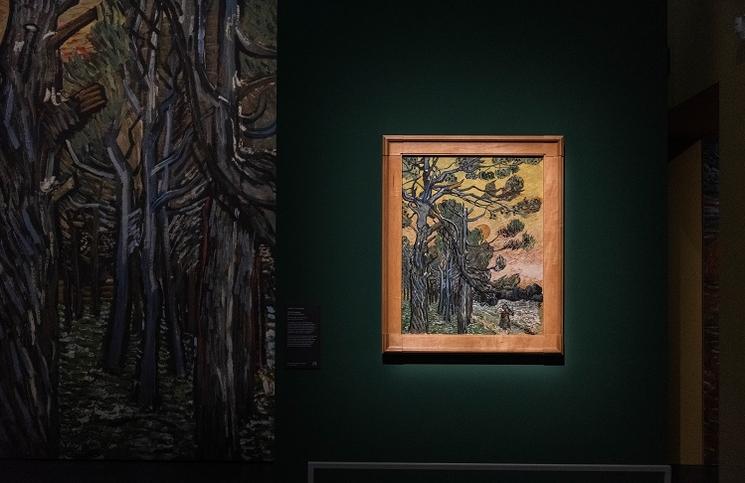 expo van gogh au mudec