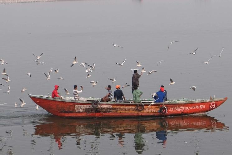 promenade sur le gange
