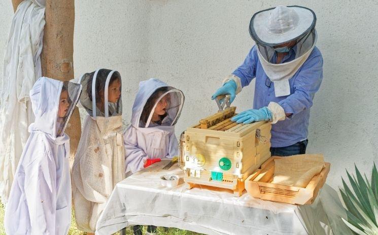 Alliance Française dubai