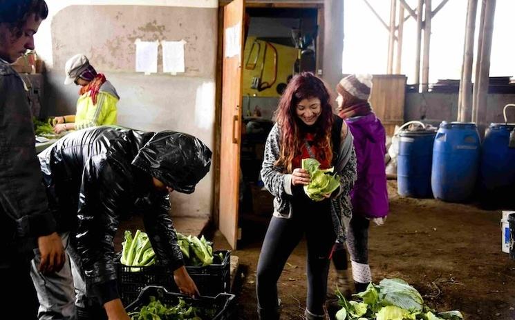 Volontariat de Solidarité Internationale