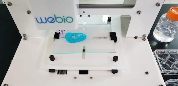 Laurent Rodriguez webio