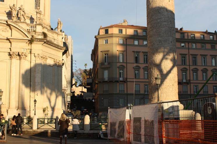 L'ombre de pins parasol