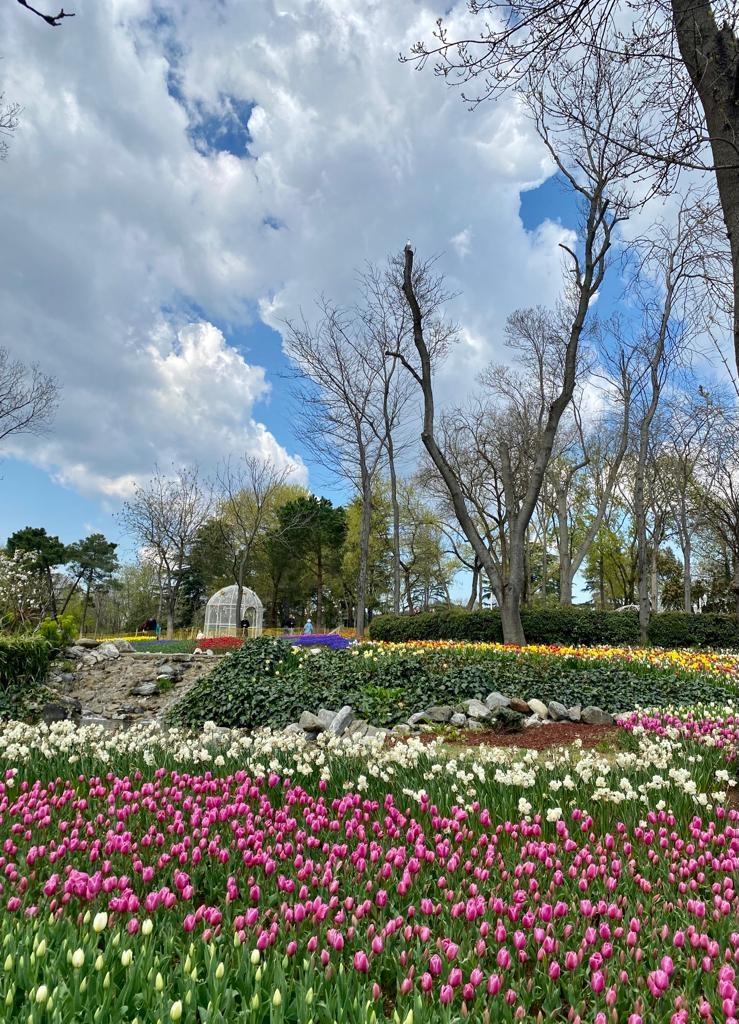 Dans le parc d'Emirgan tulipes