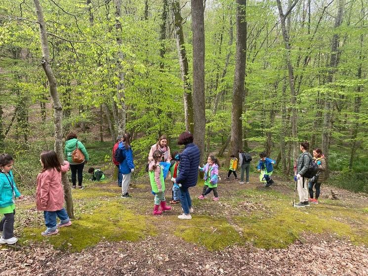 Les élèves de Petit Génie dans la forêt de Belgrade ce vendredi 22 avril