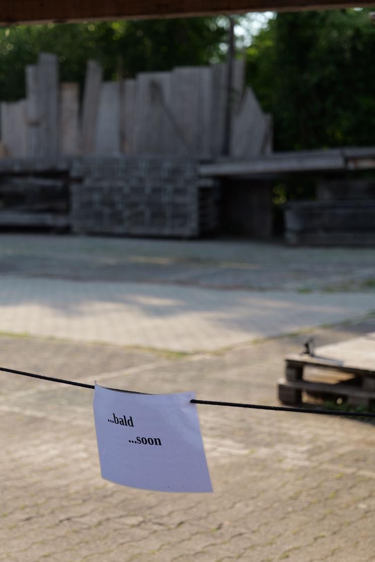 Affiche sur laquelle sont inscrits les mots "...bald / ...soon"