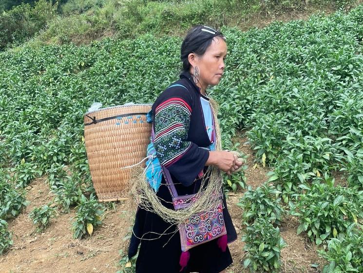 vietnam ethnie groupe