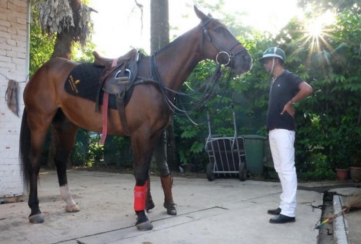 Manjeev et sa première expérience avec un cheval