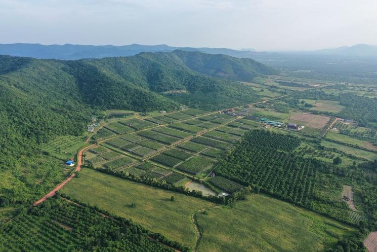 Vue en drône de La Plantation