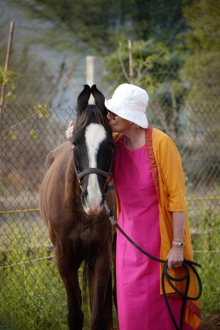 Chroniques d’une chuchoteuse de chevaux française en Inde