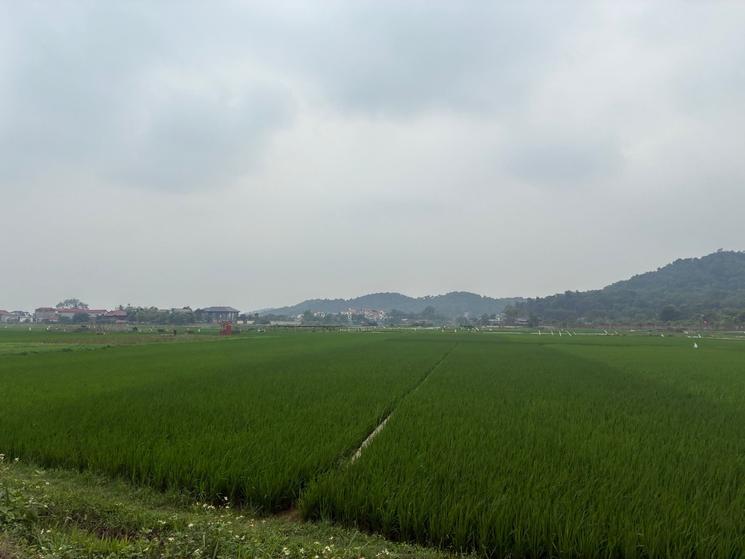 soc son hanoi voyage hanoi